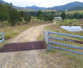 Rural / Farming commercial property for sale at 3277 Thunderbolts Way Gloucester NSW 2422