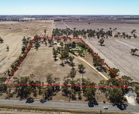 Rural / Farming commercial property sold at 17809 Dukes Highway Bordertown SA 5268