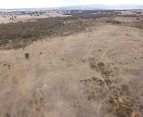 Rural / Farming commercial property sold at 0 Peacock Road Moyreisk VIC 3477