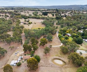 Rural / Farming commercial property sold at 1013 Strathalbyn Road Biggs Flat SA 5153