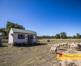 Rural / Farming commercial property for sale at 1613 Spring Ridge Road Dunedoo NSW 2844