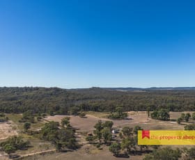 Rural / Farming commercial property for sale at 1613 Spring Ridge Road Dunedoo NSW 2844