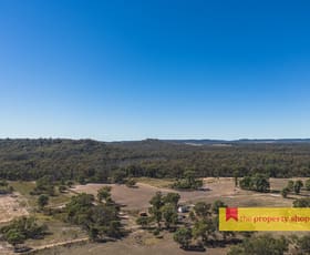 Rural / Farming commercial property for sale at 1613 Spring Ridge Road Gulgong NSW 2852