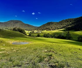 Rural / Farming commercial property sold at Lot 21 Watagan Creek Road Laguna NSW 2325