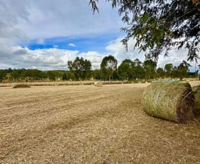 Rural / Farming commercial property for sale at 11032 Mount Lindsay Highway Palen Creek QLD 4287