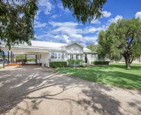 Rural / Farming commercial property sold at 'Kiota' 13321 Gwydir Highway Warialda NSW 2402