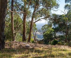 Rural / Farming commercial property sold at 400 Ennis Road Tallarook VIC 3659