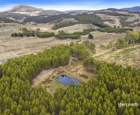 Rural / Farming commercial property sold at 192 Tin Pot Marsh Road Woodsdale TAS 7120