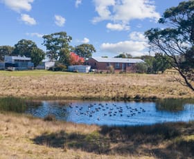 Rural / Farming commercial property sold at 420 Cullulla Rd Tarago NSW 2580
