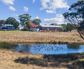 Rural / Farming commercial property for sale at 420 Cullulla Rd Tarago NSW 2580