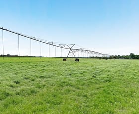 Rural / Farming commercial property sold at Mareeba QLD 4880