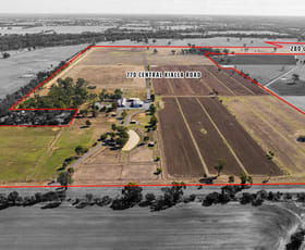 Rural / Farming commercial property for sale at 770 Central Kialla Road Arcadia VIC 3631