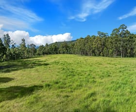 Rural / Farming commercial property for sale at Lot 62-69 Duck Creek Road Duck Creek NSW 2469