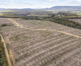 Rural / Farming commercial property sold at 124 & 126 Camden Road Tayene TAS 7259