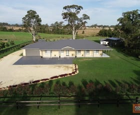 Rural / Farming commercial property for sale at 256 Comboyne Road Wingham NSW 2429