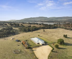 Rural / Farming commercial property for sale at 71 Nillalook Lane Barjarg VIC 3723