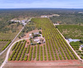 Rural / Farming commercial property for sale at 180 Collins Road Katherine NT 0850
