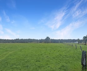 Rural / Farming commercial property for sale at 96 Holleys lane Yorklea NSW 2470