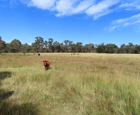 Rural / Farming commercial property sold at 719 Mount Tully Road Mount Tully QLD 4380