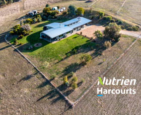 Rural / Farming commercial property for sale at 234 Thrums Road Greta West VIC 3675