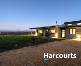 Rural / Farming commercial property sold at 234 Thrums Road Greta West VIC 3675
