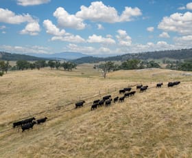 Rural / Farming commercial property for sale at 1091 Hazelgrove Road Oberon NSW 2787