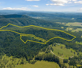 Rural / Farming commercial property for sale at Lot 41 Boundary Creek Road Nymboida NSW 2460
