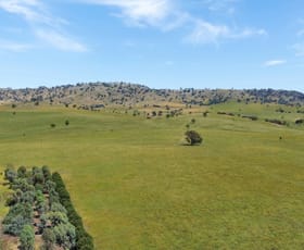 Rural / Farming commercial property for sale at 2522 Darbys Falls Road Wyangala NSW 2808