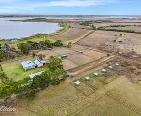 Rural / Farming commercial property for sale at 1146B Finniss-Clayton Road Clayton Bay SA 5256
