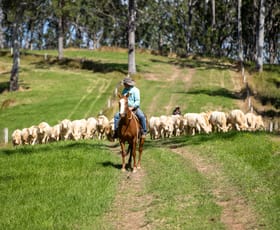 Rural / Farming commercial property for sale at 624 Deer Vale Road Fernbrook NSW 2453