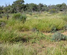 Rural / Farming commercial property sold at 2504 Lina Glen Road Jundah QLD 4736