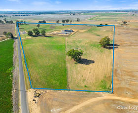 Rural / Farming commercial property for sale at 1 Quicks Road Tocumwal NSW 2714
