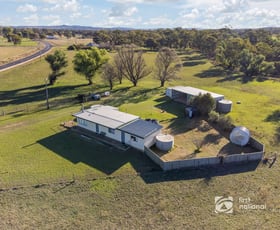Rural / Farming commercial property for sale at 1413 Wollar Road Mudgee NSW 2850