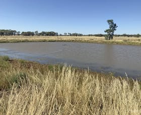 Rural / Farming commercial property for sale at 703 Yethera Road Tullamore NSW 2874