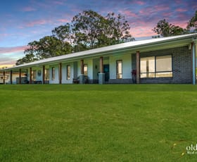 Rural / Farming commercial property for sale at 1193 Beaudesert beenleigh road Cedar Creek QLD 4207