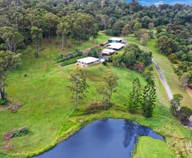 Rural / Farming commercial property for sale at 1193 Beaudesert beenleigh road Cedar Creek QLD 4207