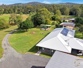 Rural / Farming commercial property for sale at 1193 Beaudesert beenleigh road Cedar Creek QLD 4207