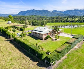 Rural / Farming commercial property for sale at 1646 Waterfall Way Bellingen NSW 2454