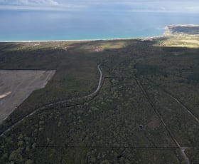 Rural / Farming commercial property sold at 6504453 Fraser Road Pegarah TAS 7256