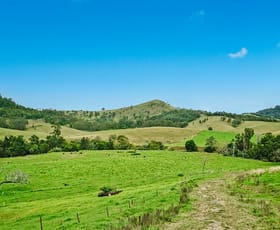 Rural / Farming commercial property for sale at 395 & 397 Paterson River Road Gresford NSW 2311