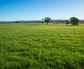 Rural / Farming commercial property for sale at 1900 Nangus Road Nangus NSW 2722