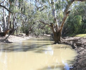 Rural / Farming commercial property for sale at . Gradgery Lane Warren NSW 2824