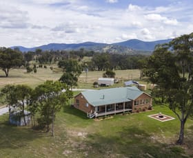 Rural / Farming commercial property for sale at 77 Tarban Loop Road Tenterfield NSW 2372