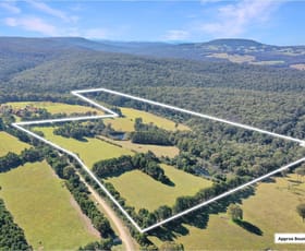 Rural / Farming commercial property for sale at 610 Rodericks Road Flaggy Creek VIC 3875