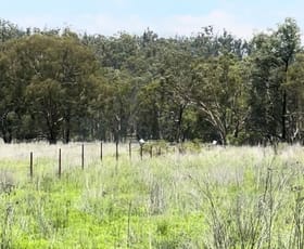 Rural / Farming commercial property sold at Lot 24 Twin Creek Road Coolatai NSW 2402