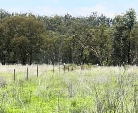 Rural / Farming commercial property for sale at Lot 24 Twin Creek Road Coolatai NSW 2402