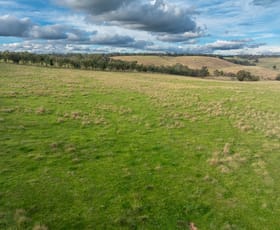 Rural / Farming commercial property sold at 65 Gorham Road Springside NSW 2800