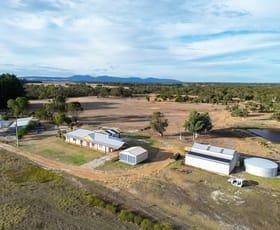 Rural / Farming commercial property for sale at 196 Jackson Road Narrikup WA 6326