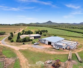 Rural / Farming commercial property for sale at 994 Leafgold Weir Road Dimbulah QLD 4872