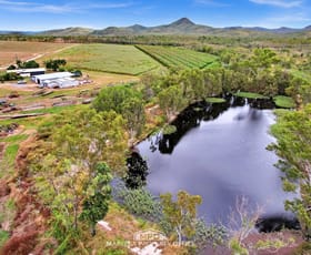 Rural / Farming commercial property for sale at 994 Leafgold Weir Road Dimbulah QLD 4872